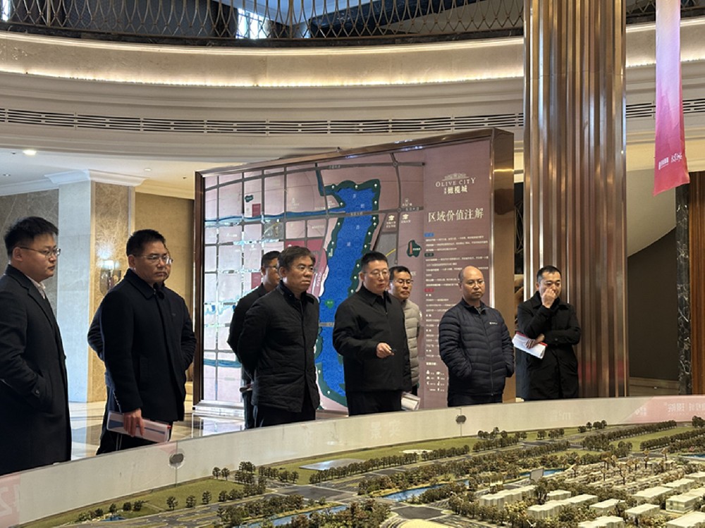 黨委書記、董事長汪洋調(diào)研開封項目并指導經(jīng)營發(fā)展工作
